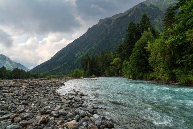 Psysh-rivierbed in het Kaukasusgebergte op een zonnige zomerdag Arkhyz KarachayCherkessia Rusland