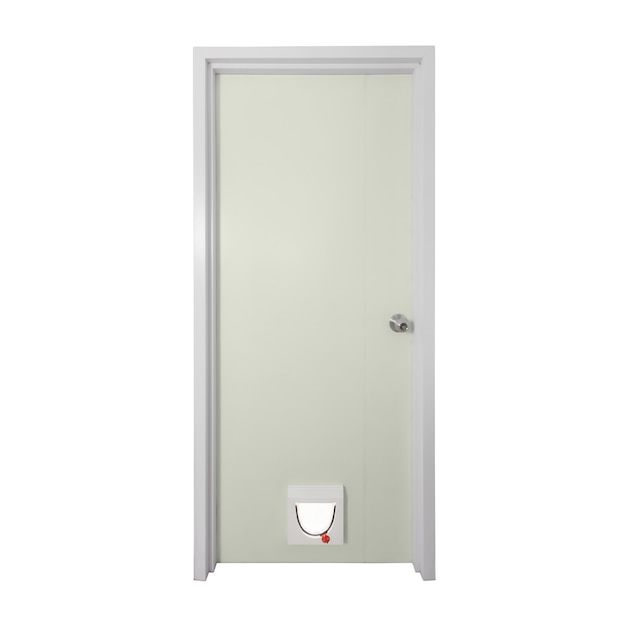 Pu door with modern cat door isolate on over white background