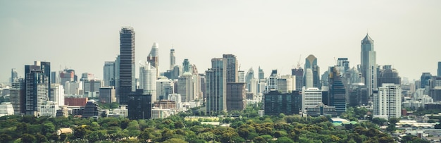 Public park and high-rise buildings cityscape in metropolis city center