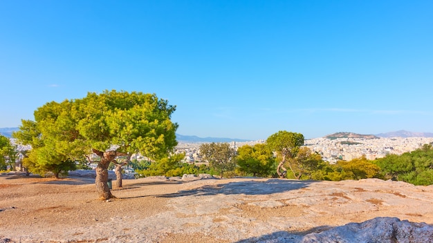 Public park on the Hill of the Nymphs in Athens city, Greece - Greek landscape