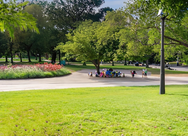 Foto un paesaggio di parco pubblico