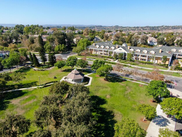 Public park with green grass field green tree plant