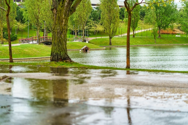 Public park with a large lake and ducks in the water on a very rainy spring day