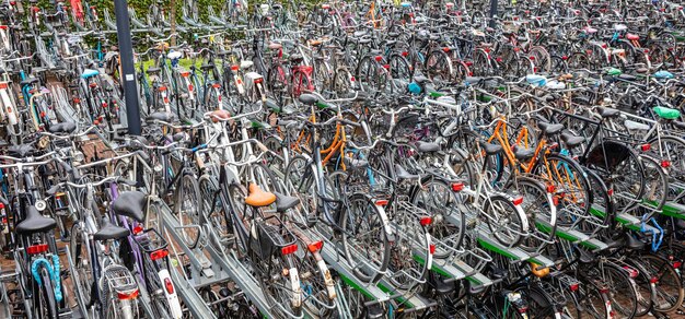 로테르담 배너 배경의 자전거 공용 주차장