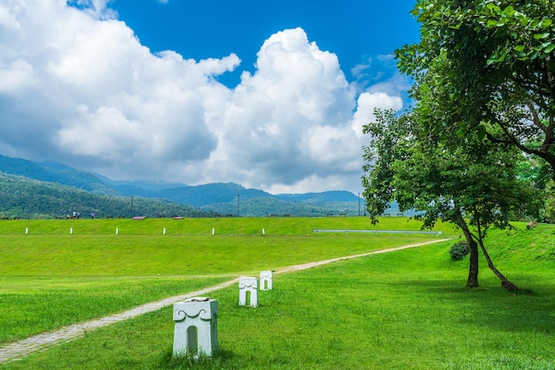 公共の場 レジャー旅行 自然の森でリラックスできる公園の広い芝生と大きな木の風景 山の景色 チェンマイ大学の白い雲と春の曇り空の背景