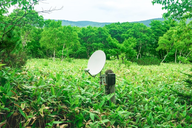 Telefono satellitare pubblico per comunicazioni di emergenza tra i boschetti di bambù nella natura selvaggia della riserva