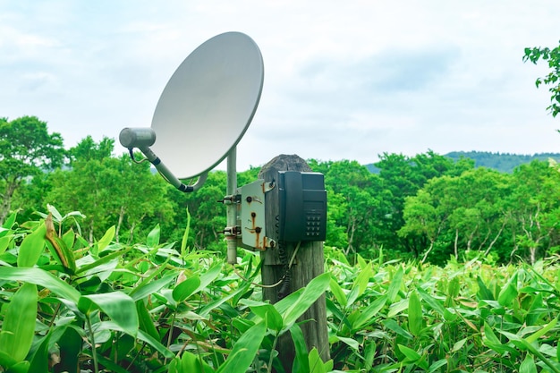 Telefono satellitare pubblico per comunicazioni di emergenza tra i boschetti di bambù nella natura selvaggia della riserva