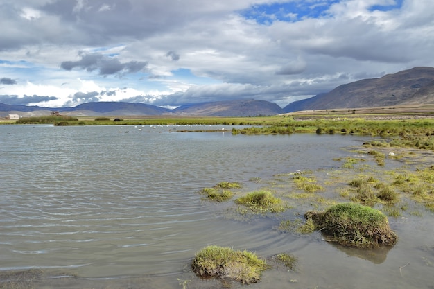 Foto pucushuclo wetland, de thuisbasis van veel biodiversiteit