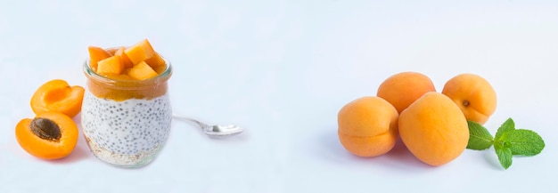 Pudding with chia seed oat flakes and apricot in the glass jar on the white background Copy space Banner