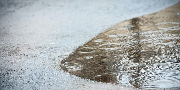 在雨中照片水坑在柏油路上