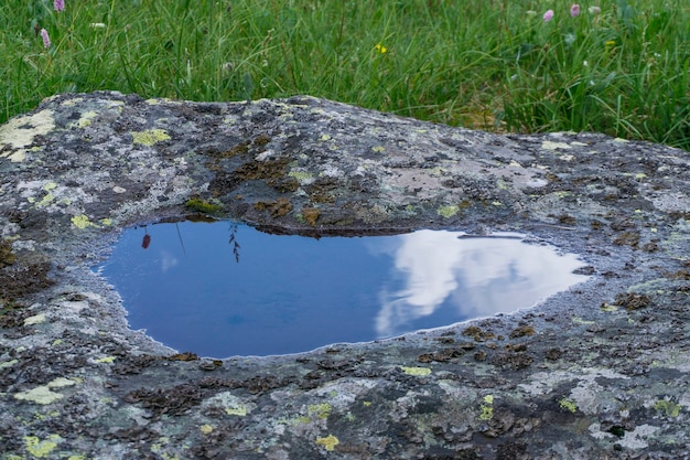 野生の石の上の透明で透明な雨水の水たまり