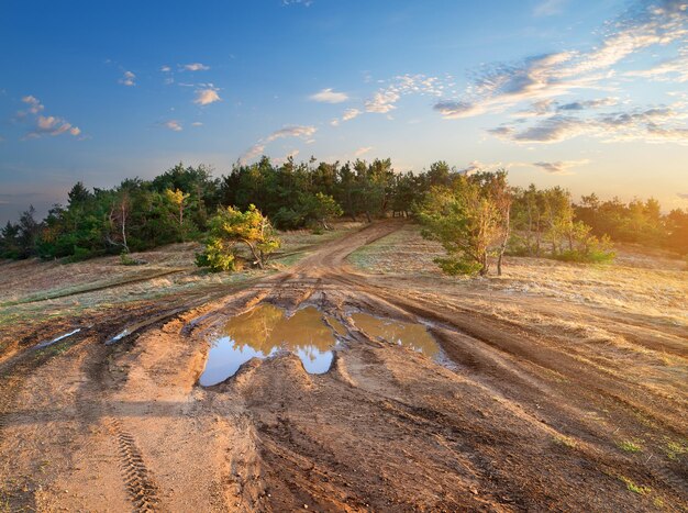 Puddle on a country road to mountain forest