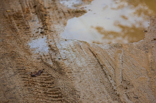 ドミニカ共和国の汚れた道の泥の中の水たまり
