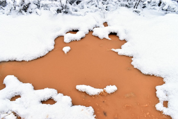 Puddle of water with brown clay in the background and surrounded