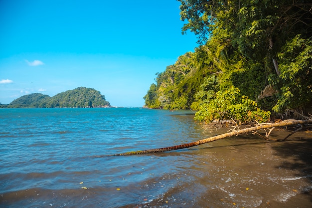 Puerto escondido in punta de sal in de caribische zee, tela. honduras