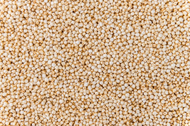 Puffed Quinoa selective focus closeup shot