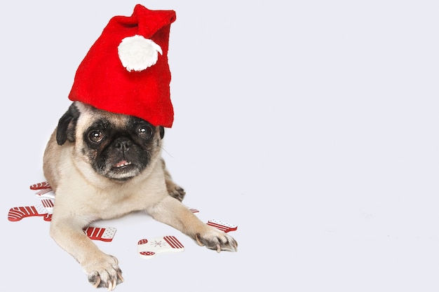 pug hond met de hoed van santa op het hoofd