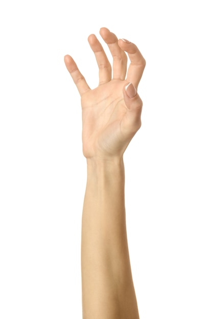Tirare, afferrare, raggiungere o graffiare. mano della donna con il manicure francese che gesturing isolato su priorità bassa bianca. parte della serie