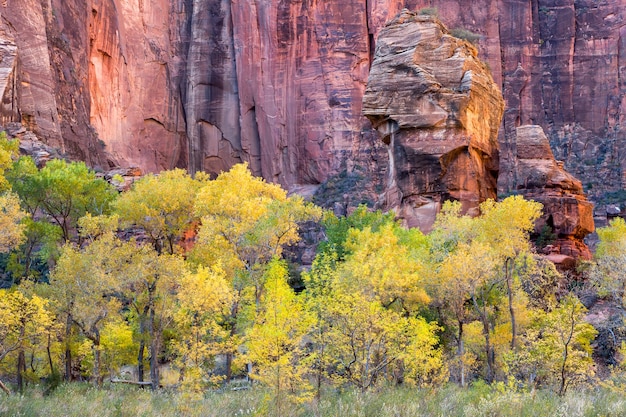 Pulpit Rock Zion National Park