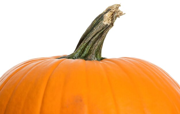 Photo pumpkin against white background