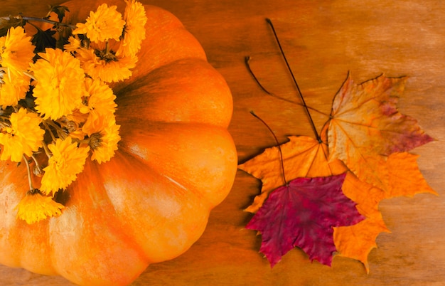 Pumpkin, autumn flowers and leaves