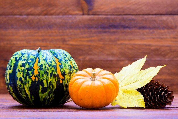 Zucca e foglia d'autunno come decorazione con spazio di copia