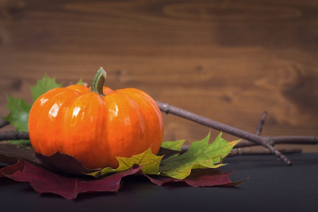 Pumpkin on Autumn leaves on black slate stone and wood backgroun