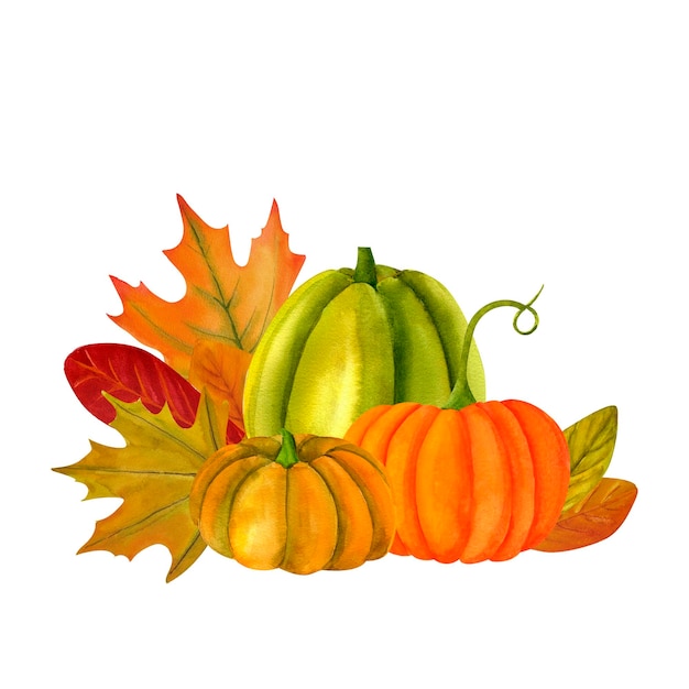 Pumpkin and autumn leaves clip art watercolor realistic botanical illustration for prints invitations cards for the autumn holidays Thanksgiving Halloween harvest festival farmers market