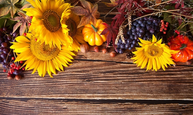 Photo pumpkin, autumn leaves, grape, sunflower and berries