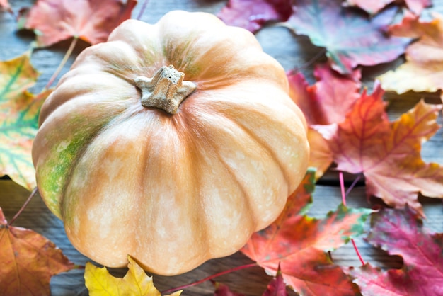 Foto zucca su foglie d'autunno