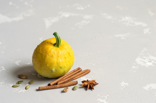 Pumpkin and autumn spices for baking on a gray background