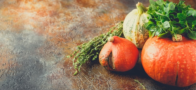 Pumpkin, basil and thyme on a rusty table