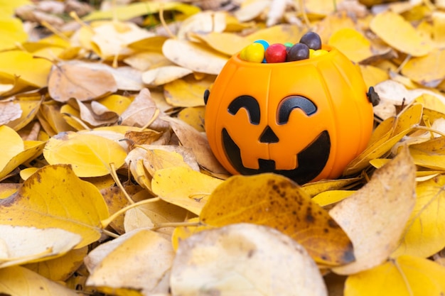 Pumpkin basket for Halloween full of candy on the background of yellow fallen leaves