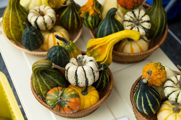 Pumpkin in basket