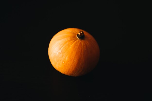 Pumpkin on a black background