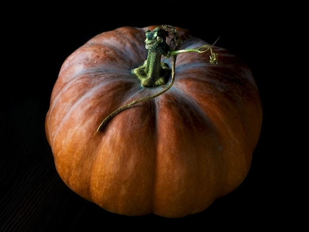 Foto zucca su uno sfondo nero