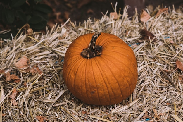 田舎のハロウィーンのシーンでわらのブロック上のカボチャ