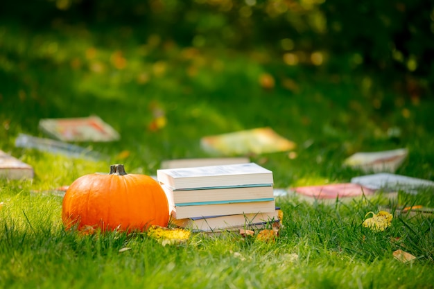 Pumpkin and books are on a green grass in a garden