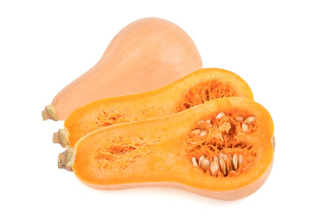 호박 butternut 흰색 절연