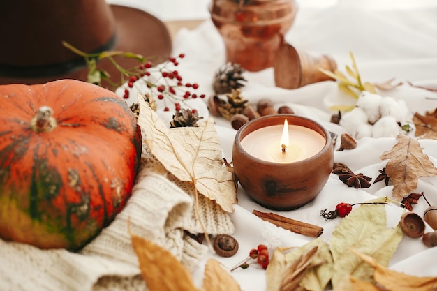Pumpkin and candle with berries fall leaves aniseherbs acorns nuts cinnamon cotton on white textile Hygge lifestyle autumn mood Happy Thanksgiving Cozy inspirational image