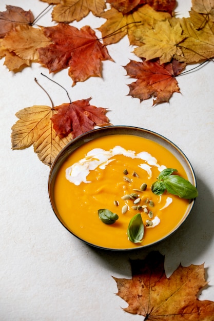 Pumpkin or carrot soup