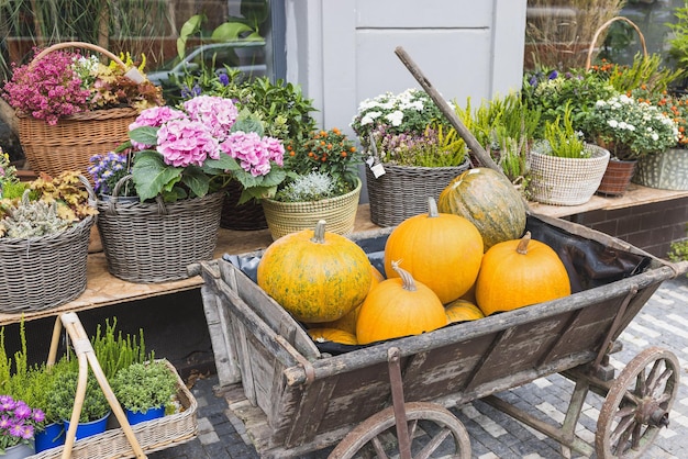 Carrello di zucca al negozio di fiori decorazione autunnale di halloween e ringraziamento