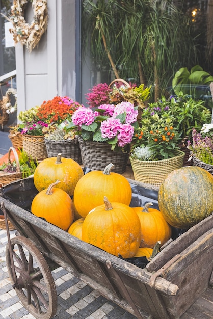 Pumpkin cart in front of the flower shop halloween and thanksgiving autumn decoration with flowers