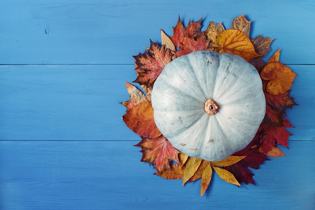 Pumpkin and colorful autumn leaves on blue wood