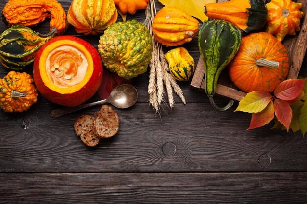 Pumpkin cream soup squashes and pumpkins