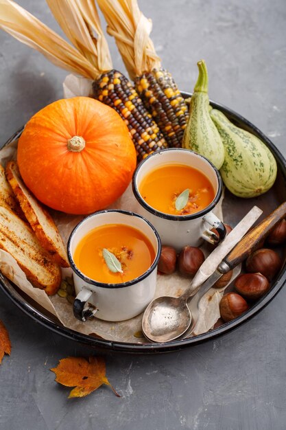 Pumpkin cream soup