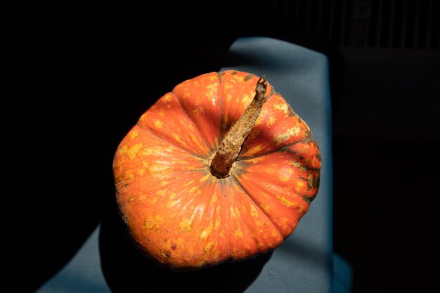 pumpkin on a dark blue halloween background