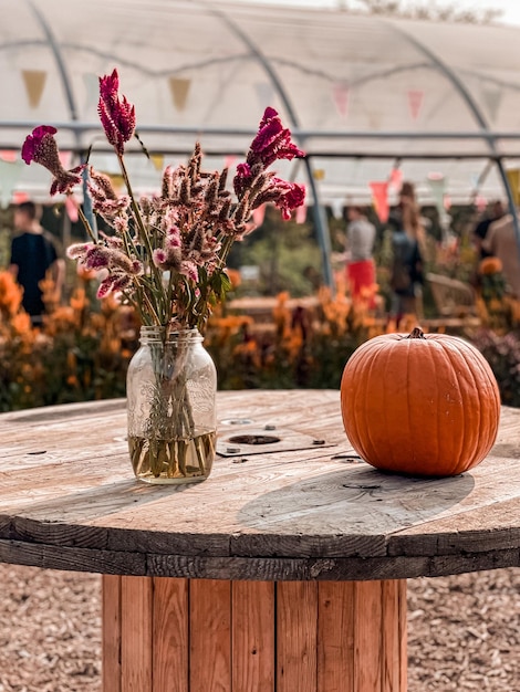 Photo pumpkin and flower