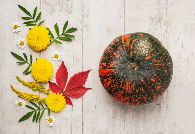 Pumpkin, flowers and autumn leaves