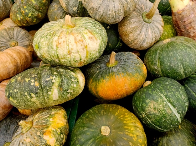Pumpkin in the fresh market
